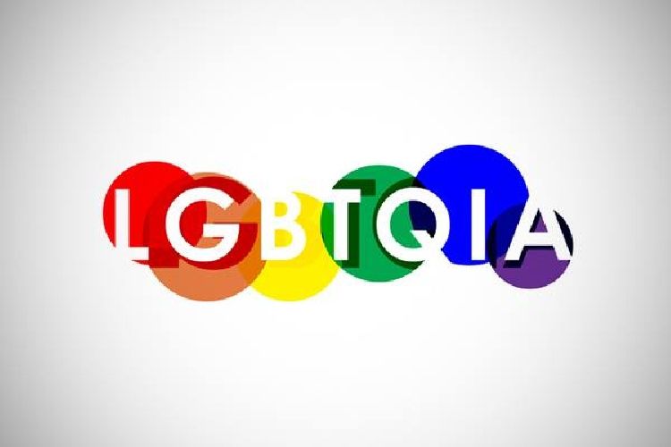 LGBTIQA Terimleri